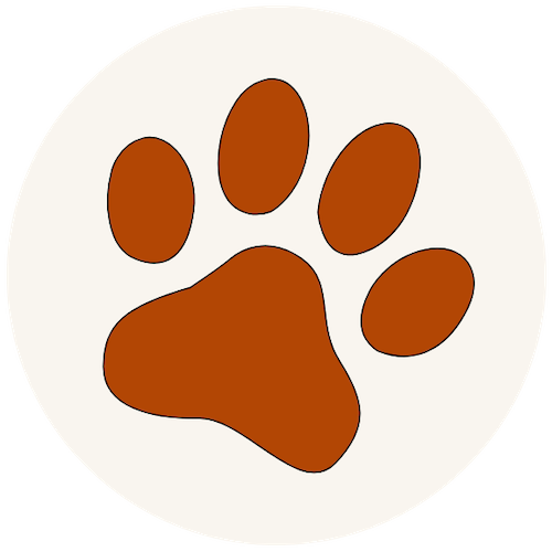 Michaela Pelzer Photography - Fellzaubermomente