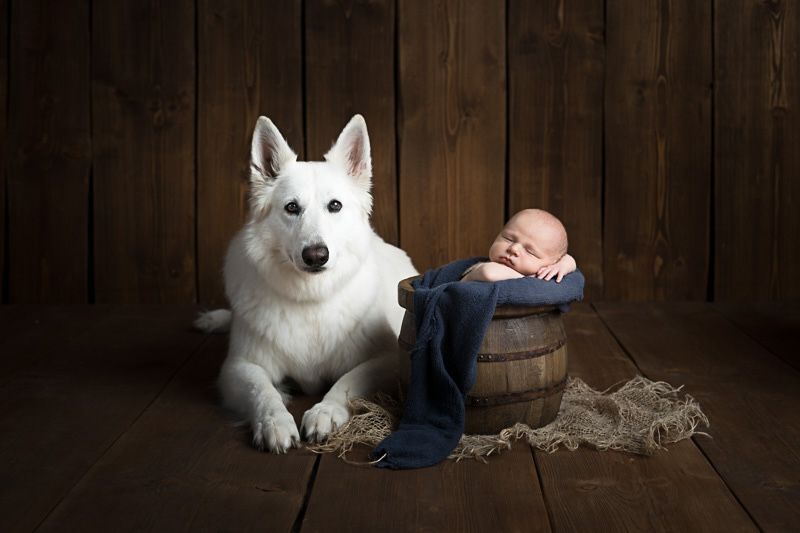 Fellzaubermomente Michaela Pelzer Photography Galerie Baby