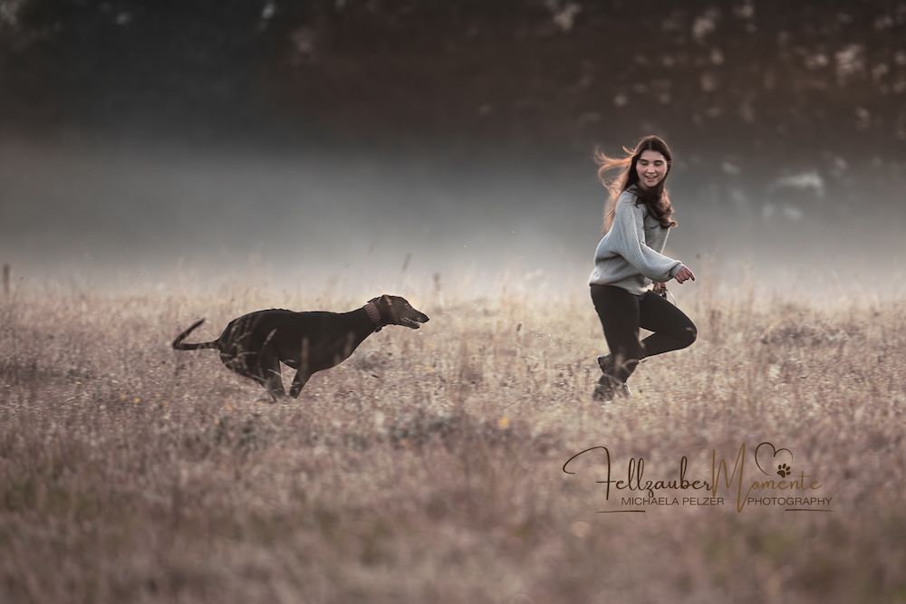 Hunde im Nebel Hundefotografie Michaela Pelzer Fellzaubermomente-10