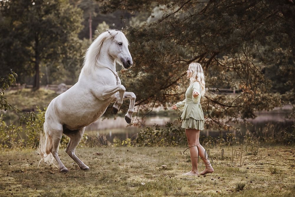 Michaela PelzerTierfotografie Fellzaubermomente Pferde