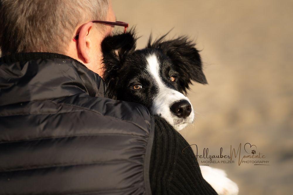 MichaelaPelzerTierfotografieFellzaubermomenteHundefotografie
