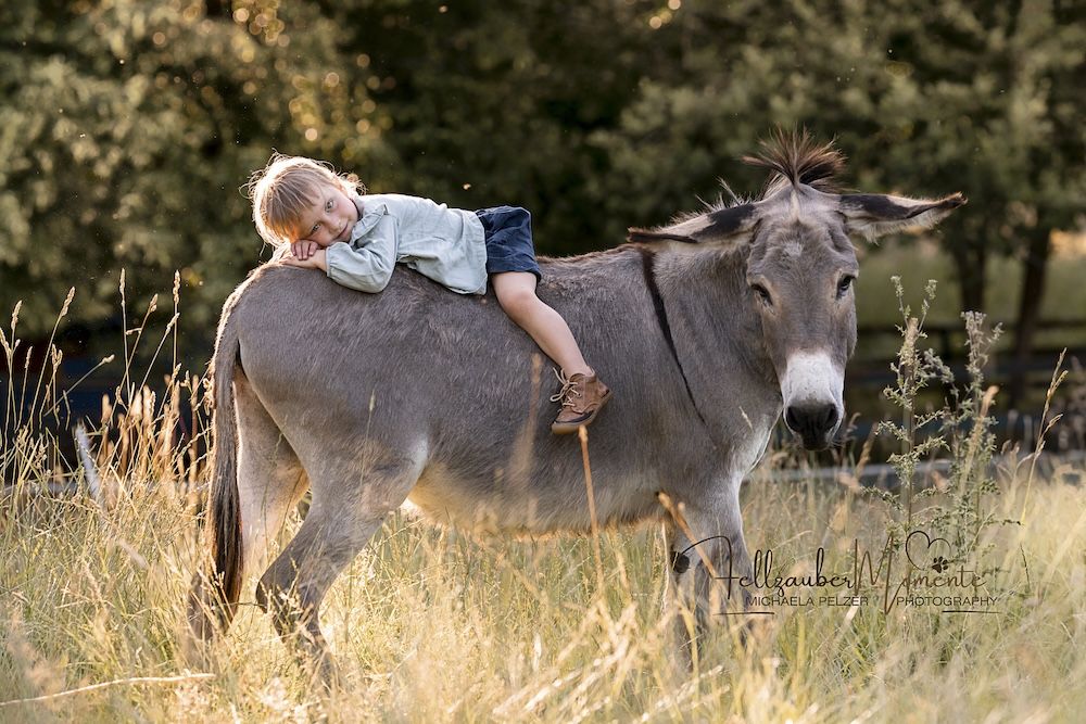 MichaelaPelzerTierfotografieFellzaubermomenteKinderundTiere